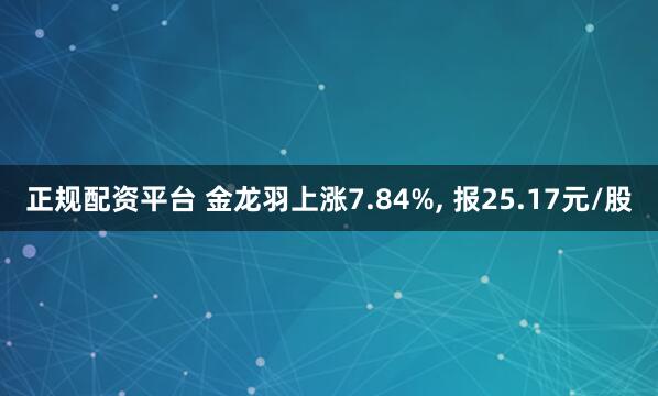 正规配资平台 金龙羽上涨7.84%, 报25.17元/股