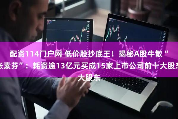 配资114门户网 低价股抄底王！揭秘A股牛散“张素芬”：耗资逾13亿元买成15家上市公司前十大股东
