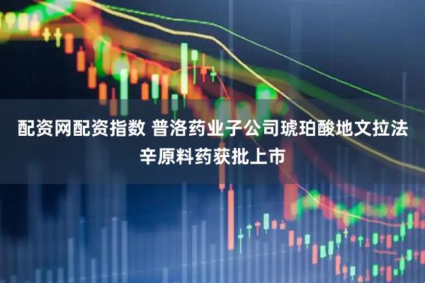 配资网配资指数 普洛药业子公司琥珀酸地文拉法辛原料药获批上市